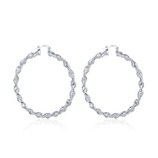 Fashion Hoop Earrings