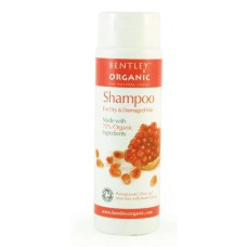 Bentley Organic Shampoo with Pomegranate, Aloe Vera, Olive and Sweet Orange