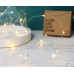 Lisa Angel 30 Battery Powered LED Silver Wire String Lights